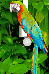 Similar image 651519