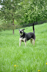 Similar image 651553