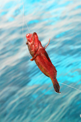 Similar image 651580