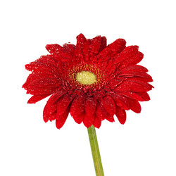 Similar image 651592