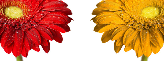 Similar image 651620