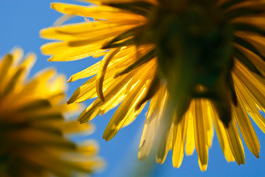 Similar image 651654