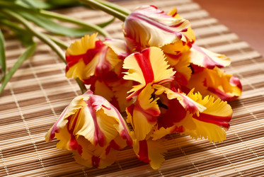 Similar image 651655