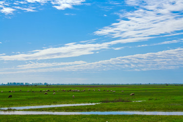 Similar image 651667