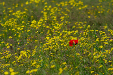 Similar image 651673