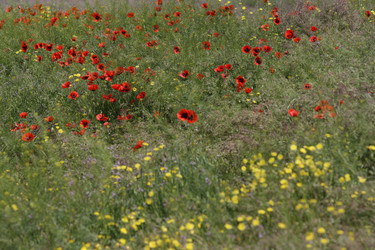 Similar image 651684