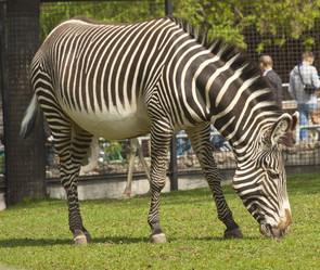 Similar image 651690