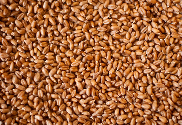 Similar image 651723