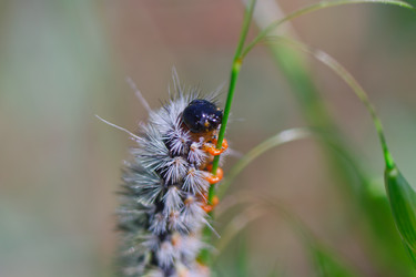 Similar image 651741