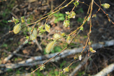 Similar image 651742