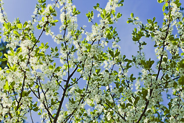 Similar image 651750