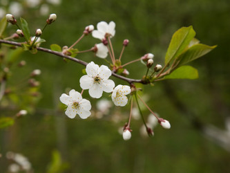 Similar image 651752