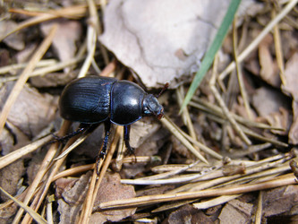 Similar image 651755