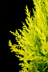 Similar image 651761