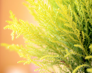 Similar image 651762