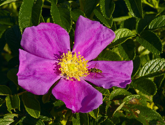 Similar image 651765