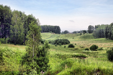 Similar image 651771