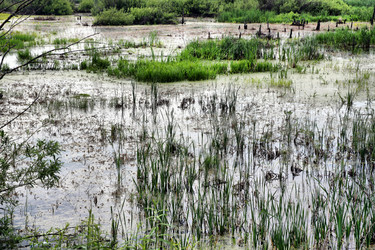 Similar image 651772