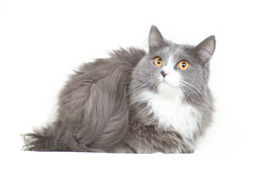 Similar image 651820