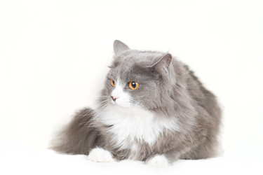 Similar image 651821