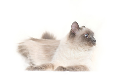 Similar image 651822