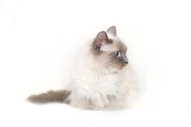 Similar image 651824