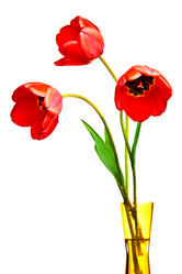 Similar image 651837