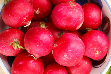 Similar image 651841