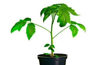 Similar image 651845