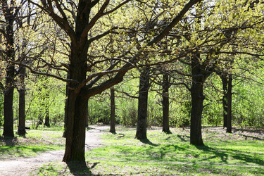 Similar image 651861