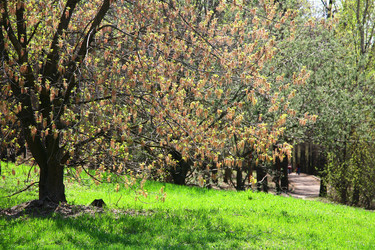 Similar image 651863