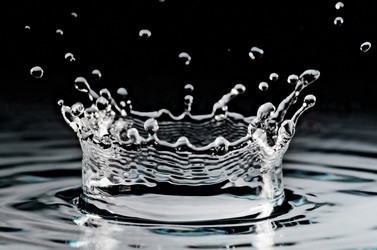 Similar image 651865