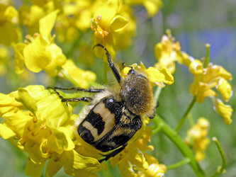 Similar image 651926