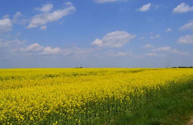 Similar image 651957