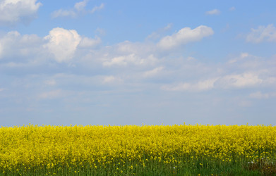 Similar image 651964