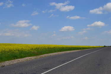 Similar image 651968