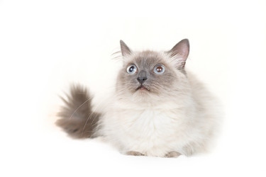 Similar image 651982