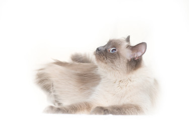 Similar image 651983