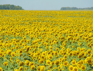 Similar image 651985