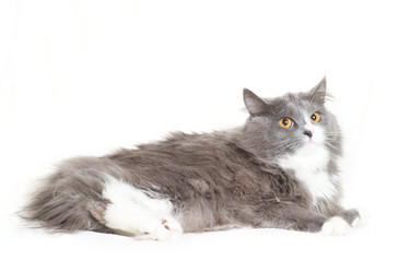 Similar image 651987