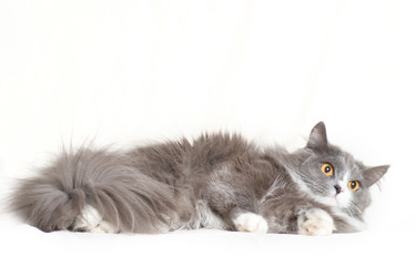 Similar image 651990