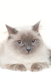 Similar image 652003