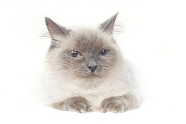 Similar image 652009