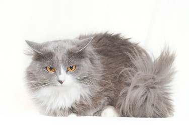 Similar image 652016