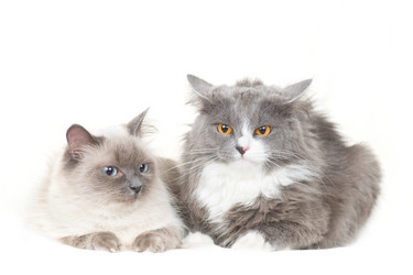 Similar image 652021