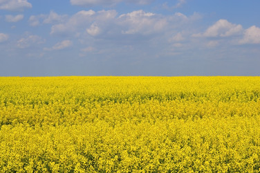 Similar image 652024