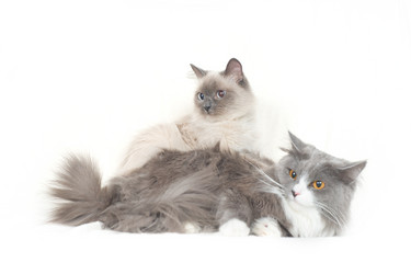 Similar image 652036