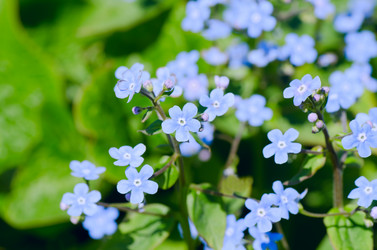 Similar image 652050