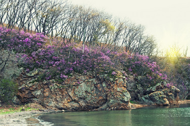 Similar image 652069