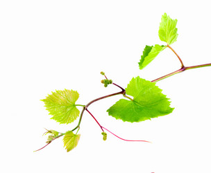 Similar image 652073